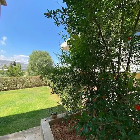 Nickolas Tiny Souda-chania * 하니아